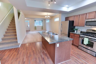 Open Kitchen Living and Dining