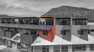 2635 Dolores Way unit 2635, Carbondale, CO 81623 - photo 4