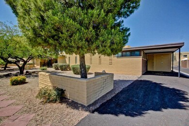 carport & driveway