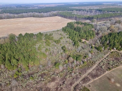 000 S Waller Rd unit LotWP001, Bald Knob, AR 72010 - photo 7