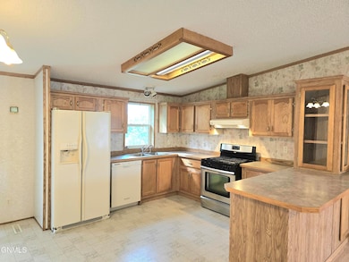 601 Avenue E, Napoleon, ND 58561 - photo 6