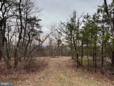 LOT 153 Bobcat Trail, Winchester, VA 22602 - photo 6