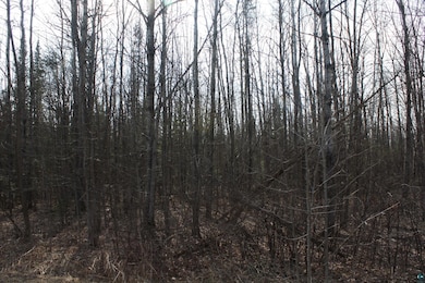 50XX S Maple Dr, Poplar, WI 54864 - photo 2