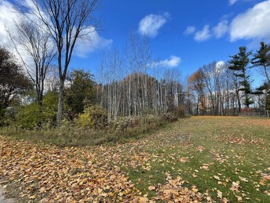 wooded lot
