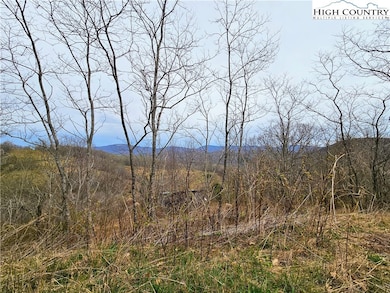 851 E Whenlin Ridge Rd, Lansing, NC 28643 - photo 7