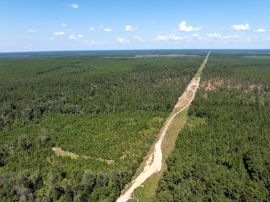 0 Beehive Loop, Singer, LA - photo 4