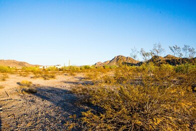 9199 S Krista Drive - LOT 54 (4)