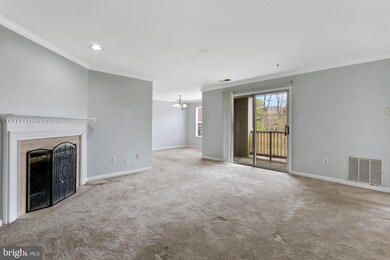 8901 Stone Creek Place unit 204, Pikesville, MD 21208 - photo 3