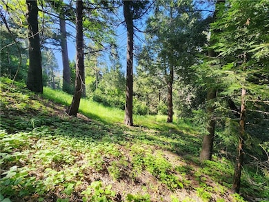 0 Deer unit 32501369, Crestline, CA 92325 - photo 2