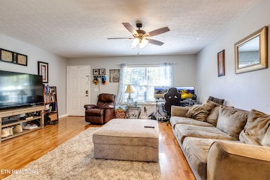 006240913-2-116GraySquirrelLnSeymourTN-S