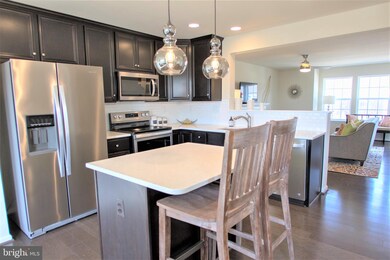 223 Schramm Loop, Stephens City, VA 22655 - photo 5