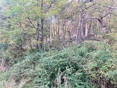 0 Gold Key Rd, Dingman Township, PA 18337 - photo 3