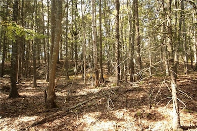 0 Old Quarry Ln unit 1328767, Boothbay Harbor, ME 04538 - photo 4