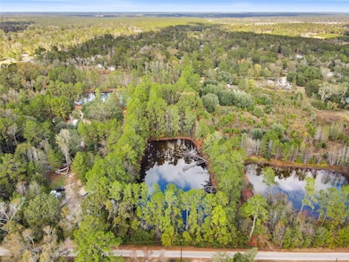 18186 Blackberry Ln, Conroe, TX 77306 - photo 4