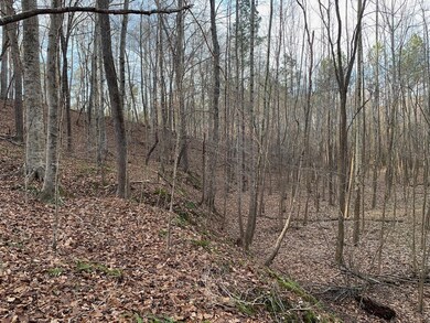 4120 N Carolina 96, Oxford, NC 27565 - photo 4