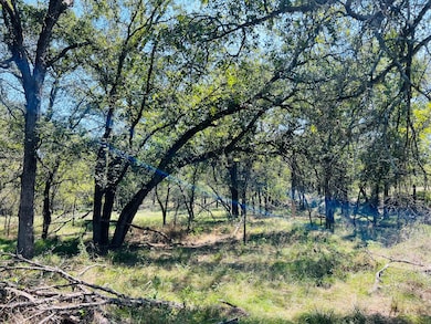 Tbd Interstate 20, Santo, TX 76472 - photo 2
