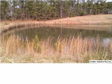 1051 County Road 286 unit 23, Roanoke, AL 36274 - photo 5