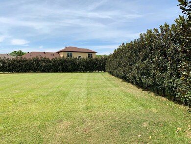 Privacy Tree Line
