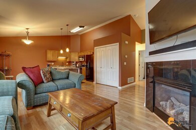 Gas Fire Place