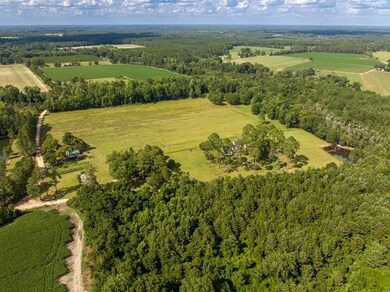 113 Jack C Lindsey Rd, Lenox, GA 31637 - photo 5