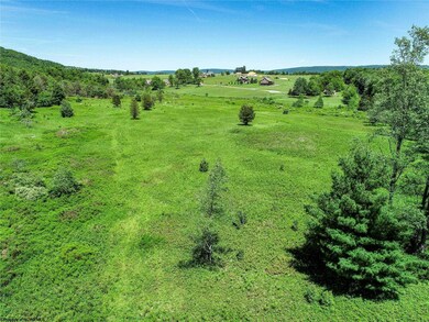 00 Mountainview Dr, Davis, WV 26260 - photo 5