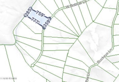 0 W Bobcat Ln unit 1298079, Wilder, TN 38589 - photo 2