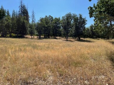 200 Creek Crossing Rd, Hayfork, CA 96041 - photo 4