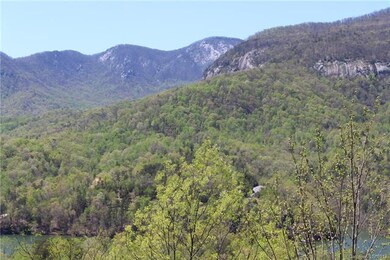 Views of Lake Lure and Shumont and Rumbling Bald M
