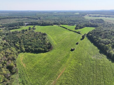 74.04 AC Highway 29, Gretna, VA 24557 - photo 4