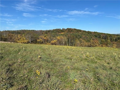 0 County Highway 28, Otsego, NY 13326 - photo 3