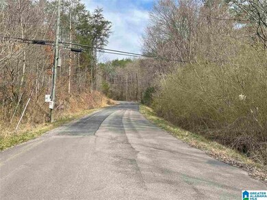 0 Bone Dry Rd unit 1, Kimberly, AL 35091 - photo 2