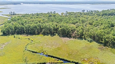 0 Batemans Creek Rd, Pantego, NC 27810 - photo 3