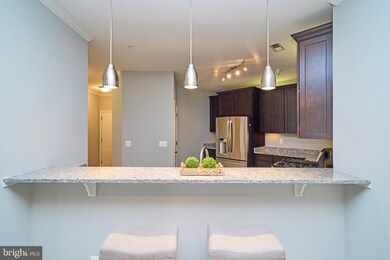 41895 Cathedral Valley Square unit A-301, Aldie, VA 20105 - photo 6