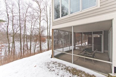 057 back yard - IMG_8758