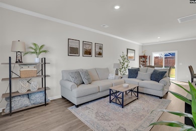 524 Silver Dipper Run, Lexington, SC 29072 - photo 4