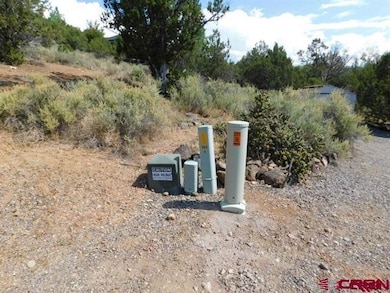 240 SE Flintlock Ct, Cedaredge, CO 81413 - photo 6