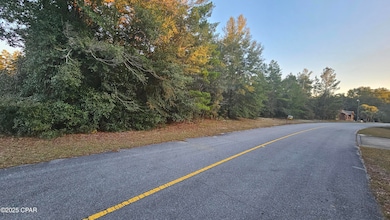 1.28 acres Vistula Dr, Chipley, FL 32428 - photo 3