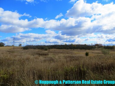 V/L N Jefferson St, Ionia, MI 48846 - photo 6