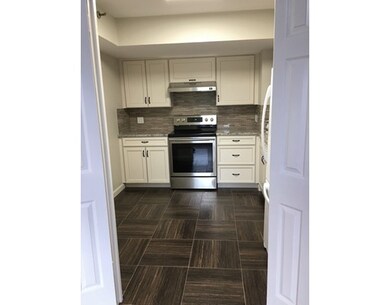 250 Hammond St unit 713S, Chestnut Hill, MA 02467 - photo 3