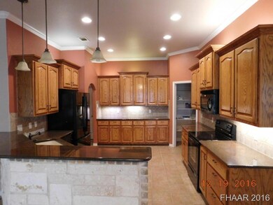 369 County Road 4709, Kempner, TX 76539 - photo 4