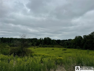 3732 Falconer Kimble Falconer-Kimball Stand Rd, Falconer, NY 14733 - photo 2