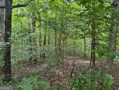 0 Wards Creek Rd unit 10587308, Toccoa, GA 30577 - photo 3