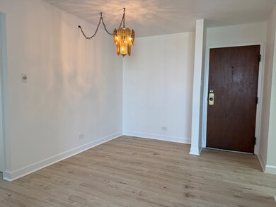 2005 S Finley Rd unit 1107, Lombard, IL 60148 - photo 5