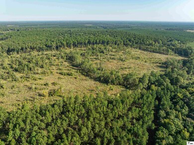 000 Highway 143, Linville, LA 71206 - photo 7