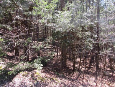 0 Stratton View Rd unit 25, Winhall, VT 05340 - photo 5