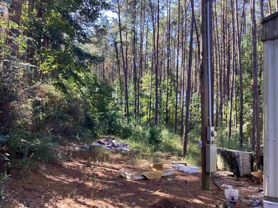 0 County Road 3038, Newton, TX 75966 - photo 5