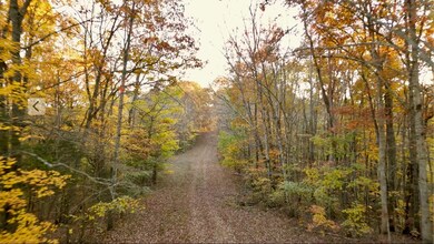 0 Rock Springs Rd unit RTC3049751, Celina, TN 38551 - photo 4