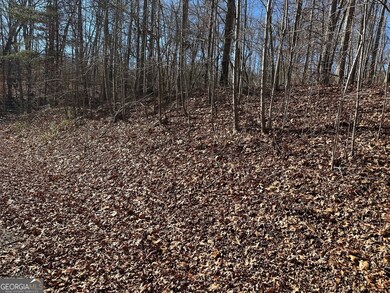 275 Shore Crest Dr, Martin, GA 30557 - photo 7