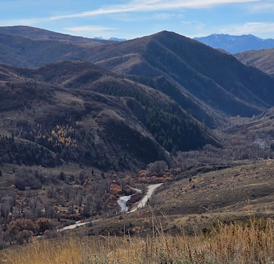 View of mountain background