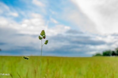 2200 Rd, Limestone, TN 37681 - photo 4